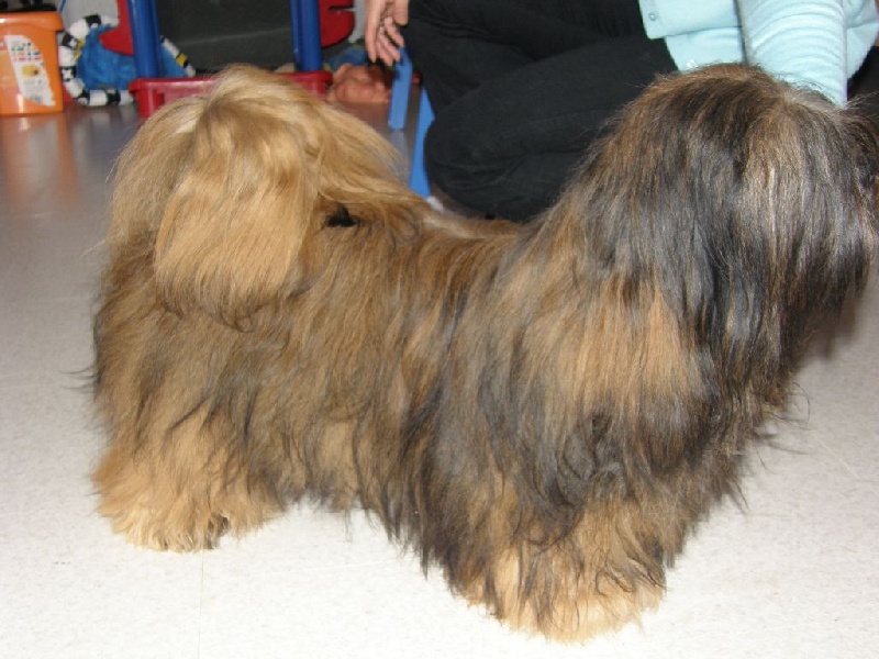 Noriel Chemical attraction